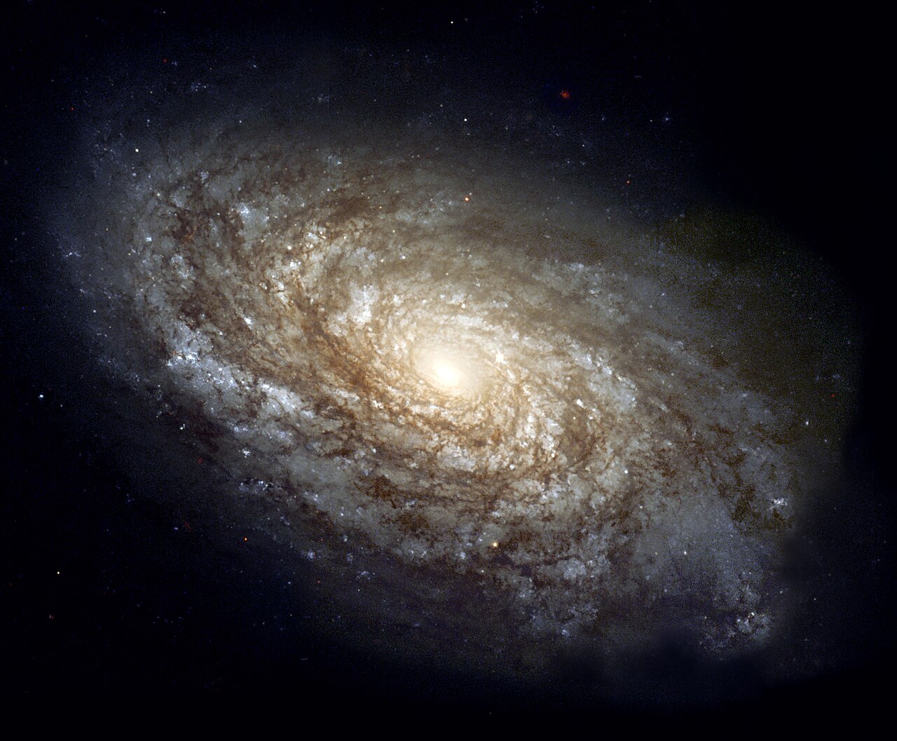 A spiral galaxy